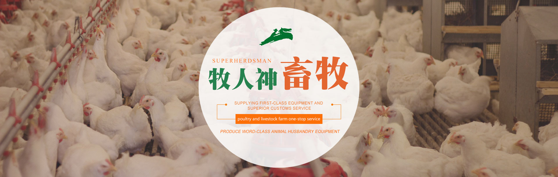 economical poultry equipment